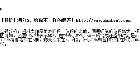 细胞表面积计算