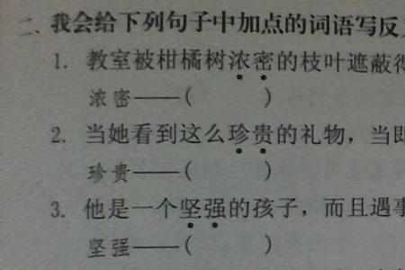 柔懒的反义词是什么