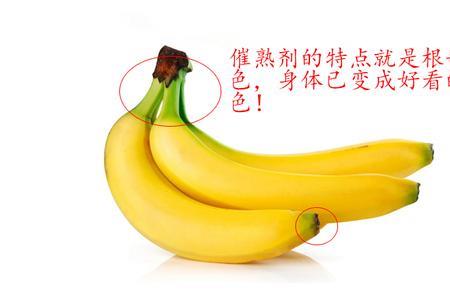 香蕉怎么催熟密封有水气