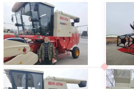 雷沃谷神gm80收黄豆怎么样