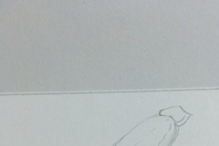 西葫芦简笔画