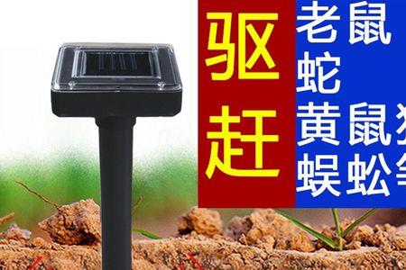 雄黄粉驱赶黄鼠狼吗