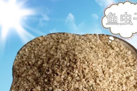 金鱼喂水蚤干好还是鱼粮好