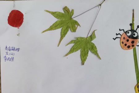什么叫科学树叶创意粘贴画