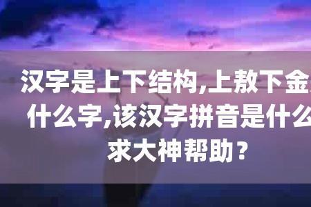 汉字进金读音