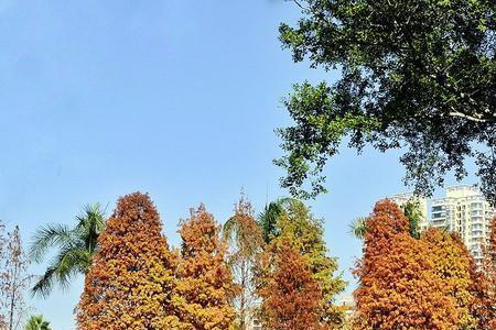 为什么热带地区不分四季