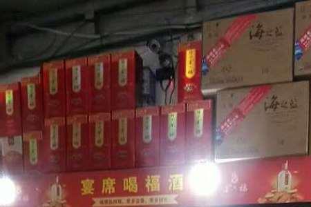 金六福福旺评测