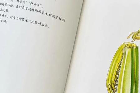 昆虫记螳螂与人相似的地方