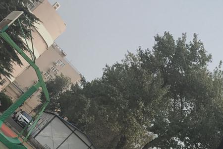 00年比03年大几岁