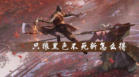只狼拿完不死斩然后干什么