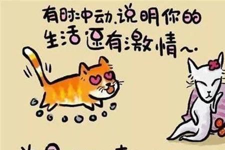 生活哲理是什么