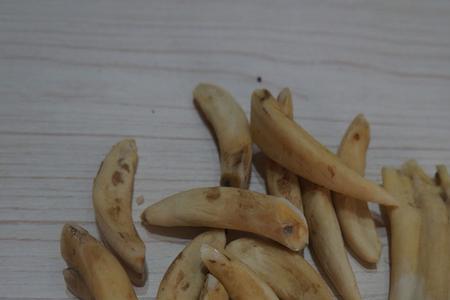 驴蹄子怎么泡白