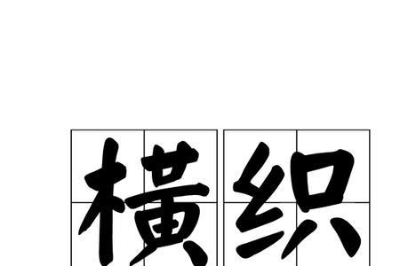 和纵横有关的词语