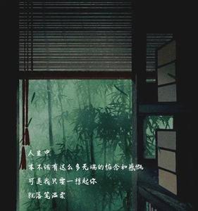 阑珊心情什么意思
