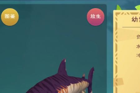 创造与魔法鲨鱼什么最好驯服