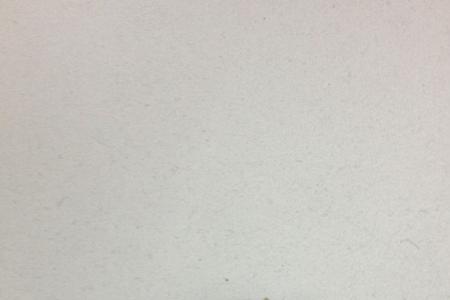 一只蟑螂会下多少卵鞘