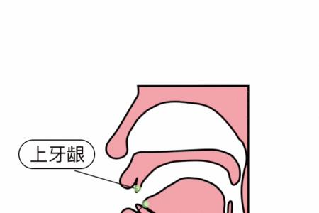 桌子的桌是平舌还是翘舌的