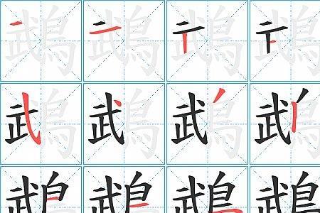 鹦字怎么组词