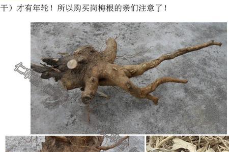 山天木组成的字