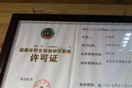 养陆龟需要办的证件