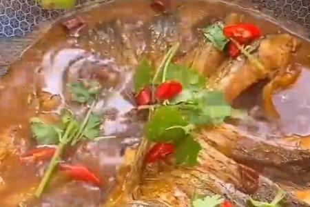 家常炖麻辣鲤鱼的做法大全