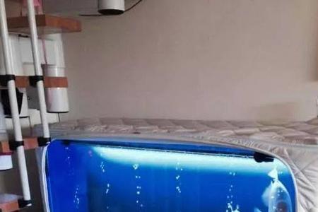 冬天鱼缸的水位多少合适