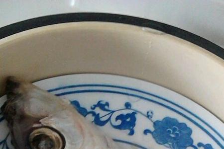 清蒸无鳞鱼的做法大全