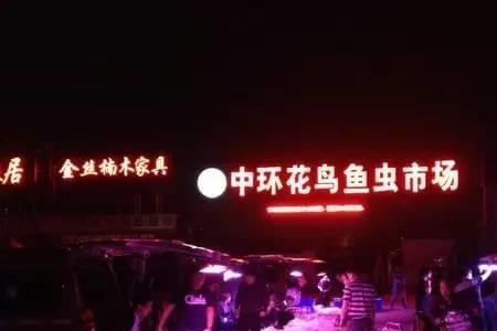 东二环花鸟鱼虫市场营业时间