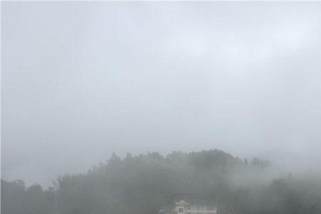 下完雨晚上起雾好钓鱼吗