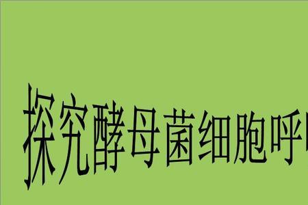 酵母菌能产生什么产物