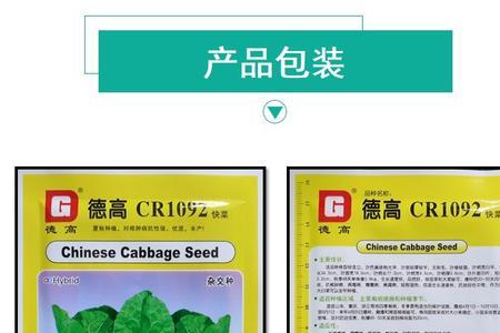 德高1号白菜种植技术