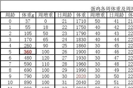成人食量标准表