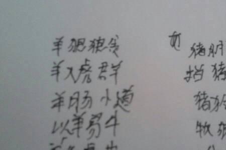 一个猪一个红心的成语
