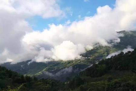 昔归茶区有哪些山头