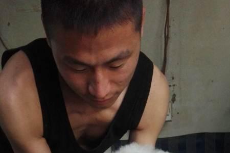 为什么有的比熊嘴长