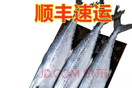 青条鱼和鲅鱼哪个好吃