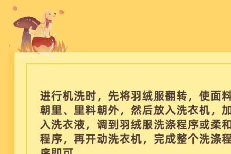 免洗羽绒服可以洗衣机吗