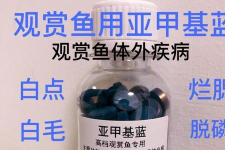鱼缸添加甲基蓝后注意事项