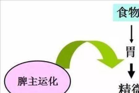 嗜食肥甘厚味什么意思
