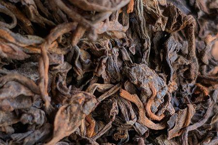 普洱茶几斤鲜叶可以做一斤干茶