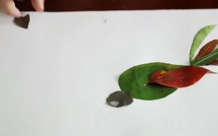 叶画怎么做