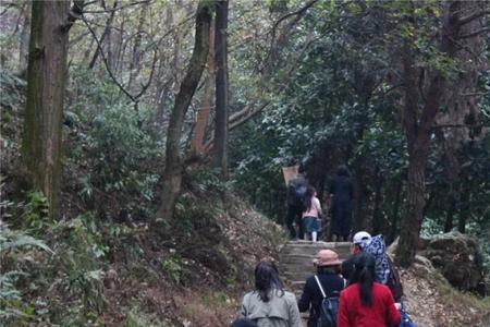 志在登高山的志什么意思