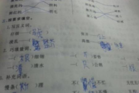 扎着什么马尾辫填量词