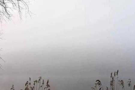 世道变了下一句是什么