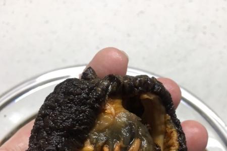 鲜海参煮好后能保存多长时间