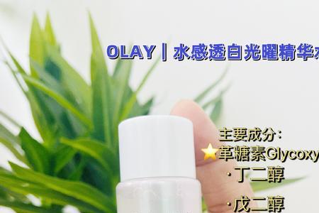 水润和滋润有啥区别