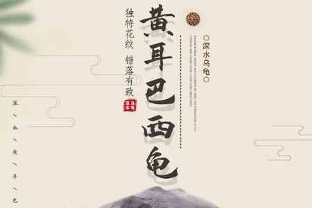 黄耳龟孵化时间