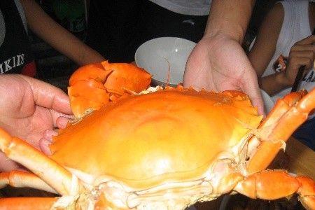 青蟹几月有膏