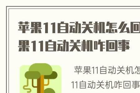 苹果11为啥频繁自动关机