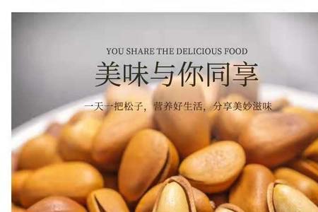 东北松子球多大